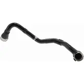 VAICO Ladeluftschlauch Q+, Erstausrüsterqualität V30-4428