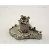 TRISCAN Wasserpumpe 8600 43002