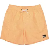 Quiksilver Everyday Deluxe Volley 14´´ Badeshorts