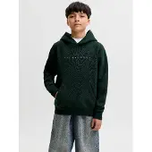 Jack & Jones Logo Kapuzenpullover Boys