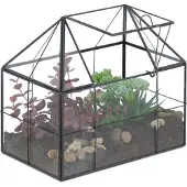 Relaxdays Pflanzenterrarium, Glas & Kupfer, 21x23x14 cm, Deko Glashaus Kakteen & Moos, Glaskasten Fensterbank, schwarz