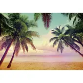 Komar Fototapete "Miami", 368x254 cm (Breite x Höhe), inklusive Kleister