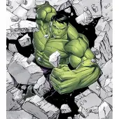 Overig Vliestapete "Digitaldruck Vlies - Hulk Breaker - Größe 250 x 280 cm" bedruckt glatt Kinderzimmer