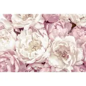 Komar Vliestapete "Vlies - Peonies - Größe 368 x 248 cm" bedruckt glatt Wohnzimmer, Schlafzimmer