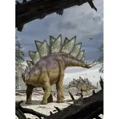 Komar Vlies Fototapete Stegosaurus 184 x 248 cm GLO769551119