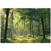WALLARENA Fototapete Wald in Grün | Gr.: 350 x 250 cm