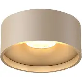 Artdelight Schlanke Deckenleuchte Oran Ø 12cm Champagner