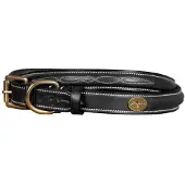 Dyon Fancy Lederhalsband für Hunde