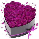 Vevor 27x Ewige Rosen in Herzform Box