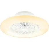 Globo Deckenventilator mit Fernbedienung Deckenleuchte mit Ventilator Dimmbar Ventilatorlampe, Sterneneffekt CCT Timer, LED 30W 1800lm 3000-6500K, D 50 cm