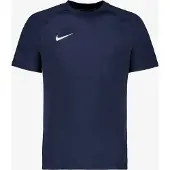 Nike Herren Trikot M NK DF PARK VIII JSY SS