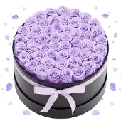 Vevor 50x Ewige Rosen in runder Box