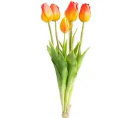 Otto Home Kunstpflanze "Maiva" Tulpenbündel im 7er-Set