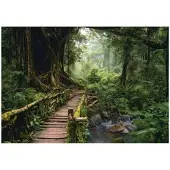 WALLARENA Fototapete Wald in Grün | Gr.: 200 x 140 cm