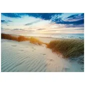 WALLARENA Fototapete Strand in Beige | Gr.: 350 x 250 cm