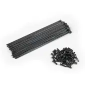 Eclat Pg Speichen Und Nippel Kit 40 Einheiten