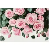 WALLARENA FOTOTAPETE Blumen Rosen Schlafzimmer 400x280