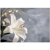WALLARENA FOTOTAPETE Blumen Blätter Wohnzimmer Vlies Tapete 250x175
