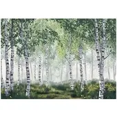 WALLARENA FOTOTAPETE 3D Effekt Wald Bäume Natur Tapete Wohnzimmer 400x280