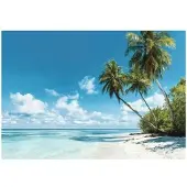 WALLARENA FOTOTAPETE 3D Effekt Strand Meer Palmen Hawaii 200x140