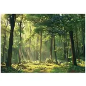 WALLARENA Fototapete Wald in Grün | Gr.: 200 x 140 cm