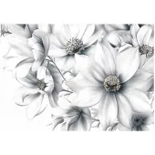 WALLARENA FOTOTAPETE Blumen 3D Effekt Vlies Tapete Wohnzimmer 350x250