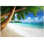 WALLARENA FOTOTAPETE Strand Meer 300x210