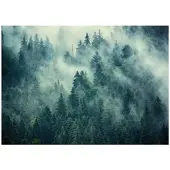 WALLARENA FOTOTAPETE Wald im Nebel Vliestapete 350x250