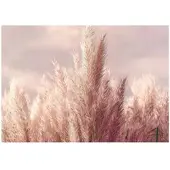 WALLARENA FOTOTAPETE Gras Boho Natur 250x175