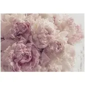 WALLARENA FOTOTAPETE Blumen Schlafzimmer 400x280