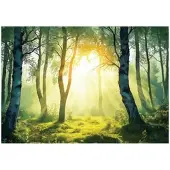 WALLARENA FOTOTAPETE 3D Effekt Wald Natur Wohnzimmer 250x175