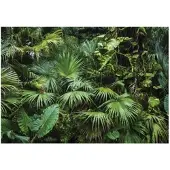 WALLARENA FOTOTAPETE Dschungel Wald Vliestapete Tapete 250x175