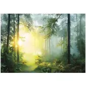 WALLARENA FOTOTAPETE 3D Effekt Wald Sonne Wohnzimmer 150x105