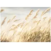 WALLARENA Fototapete Pampasgras in Beige | Gr.: 350 x 250 cm