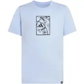 Adidas Tshirts KA0545000GLOBLU