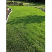 Easygreen Rasen »Trockenrasen 12 m2«, 4