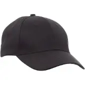Payper Illinois