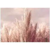 WALLARENA FOTOTAPETE Gras Boho Natur 150x105