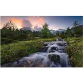 Overig Vliestapete "Digitaldruck Vlies - Wild Paradise - Größe 450 x 280 cm" bedruckt glatt Wohnzimmer, Schlafzimmer