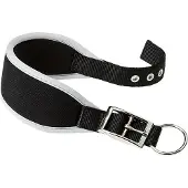Ferplast Ergocomfort 25 Mm 46 Cm Hundehalsband