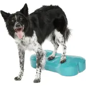 FitPAWS K9Fitbone - Aqua