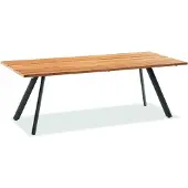Niehoff - Teak-Gartentisch Noah - Aluminium 200 x 95 cm Teak geölt Stativprofil