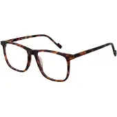 Funky Buddha Brillenfassung FBD1073 003 56