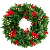 Floordirekt Weihnachtskranz Photinia