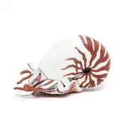 Papo Nautilus