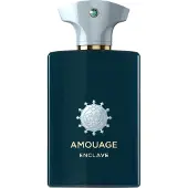 Amouage Enclave Eau De Parfum 100 ml (unisex)