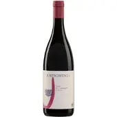 Weingut Jurtschitsch St. Laurent Jungle Bio 2020 Jurtschitsch 0,75l