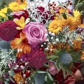 Duni 240 Tissue-Servietten 33 x 33 cm Meadow Bouquet 3-lagig