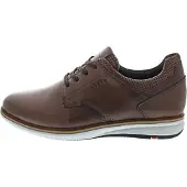 Lloyd Kayor 14-359-14 (8.5/d brown - oxblood)