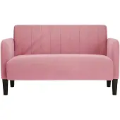 vidaXL Zweisitzer-Sofa Rosa 109 cm Samt